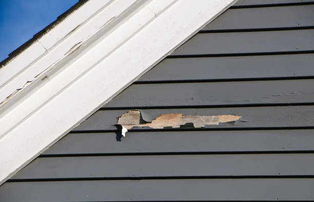 Best Vinyl Siding Installation  in Dupo, IL