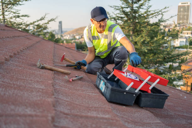 Best Brick Veneer Siding  in Dupo, IL