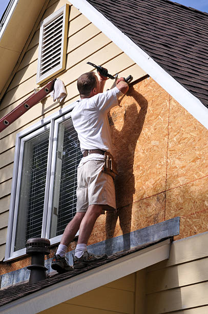 Best Siding Replacement  in Dupo, IL